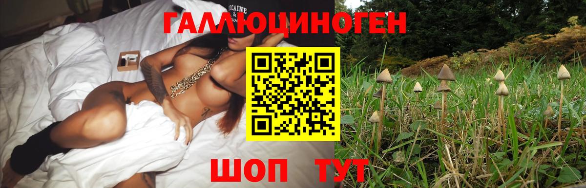 Галлюциногенные грибы мицелий  Вход с VPN  Ишимбай 